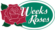 Weeks Roses logo